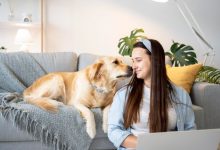 dog insurance cost per month 